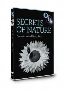 secrets-of-nature-3d-dvd_new1